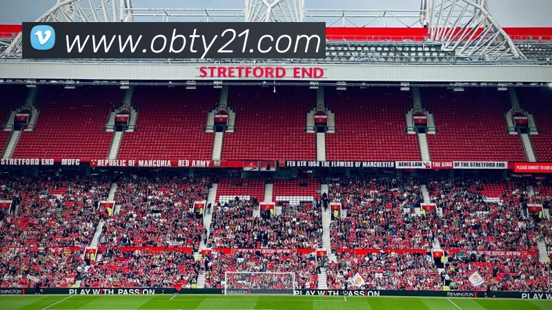 ob欧宝官网平台生态图