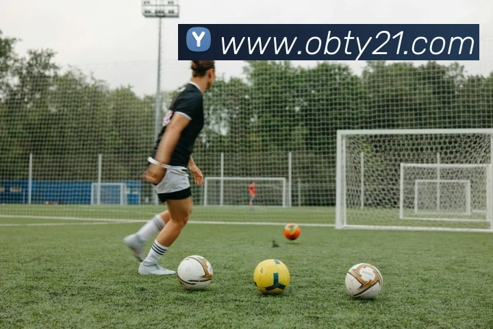 ob欧宝官网APP 封面图